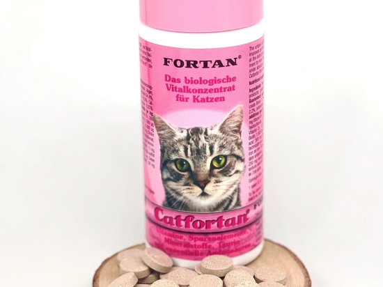 Catfortan dla kotów 300 g - zapobiega niedoborowi tauryny